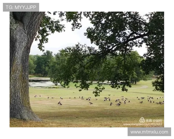 八月迷情：夏日忧伤与都市爱恋的交织之诗